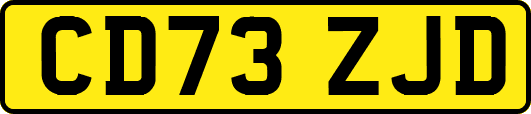 CD73ZJD