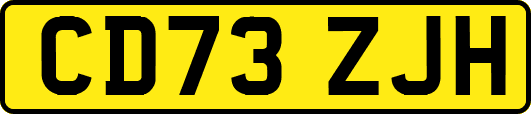 CD73ZJH