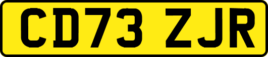 CD73ZJR