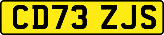 CD73ZJS