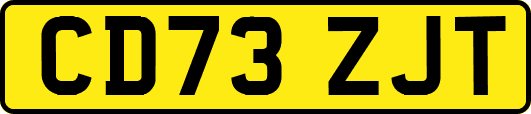 CD73ZJT