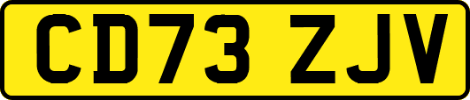CD73ZJV