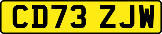 CD73ZJW