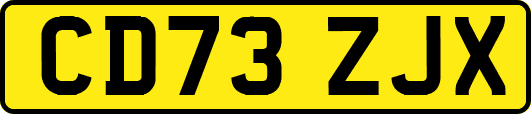 CD73ZJX