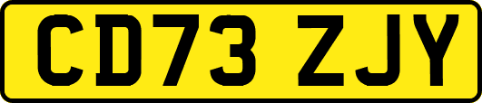 CD73ZJY
