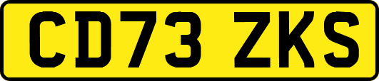 CD73ZKS