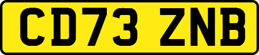 CD73ZNB