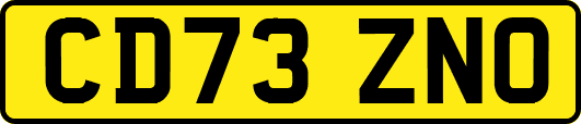 CD73ZNO