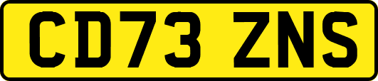CD73ZNS