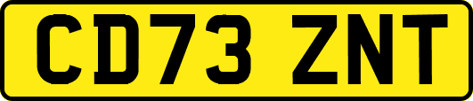 CD73ZNT