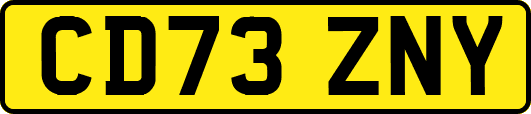CD73ZNY