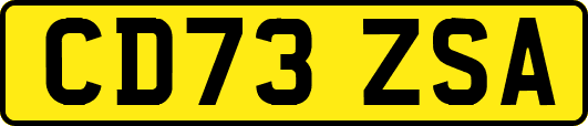 CD73ZSA