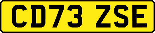 CD73ZSE