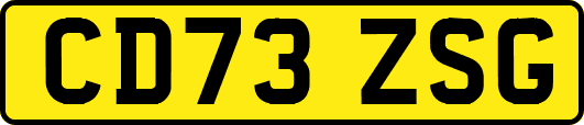 CD73ZSG
