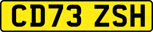 CD73ZSH
