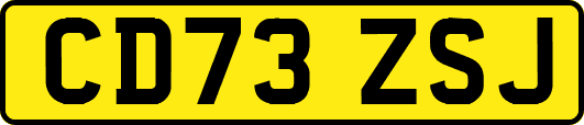 CD73ZSJ