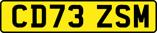 CD73ZSM