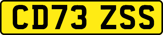 CD73ZSS