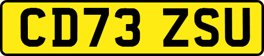 CD73ZSU