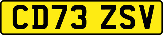 CD73ZSV