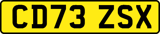 CD73ZSX