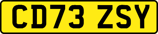 CD73ZSY