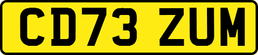 CD73ZUM