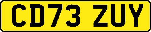 CD73ZUY