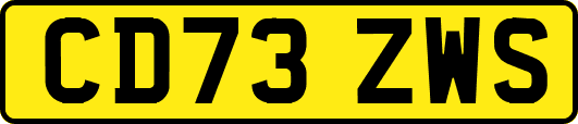 CD73ZWS