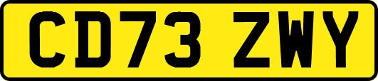 CD73ZWY