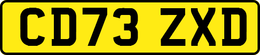 CD73ZXD