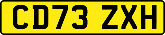 CD73ZXH