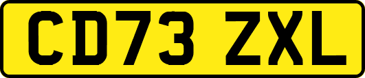 CD73ZXL