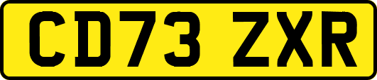 CD73ZXR
