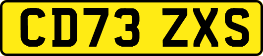 CD73ZXS