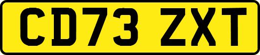 CD73ZXT