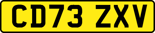 CD73ZXV