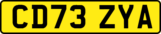CD73ZYA