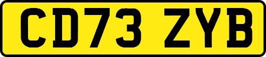 CD73ZYB