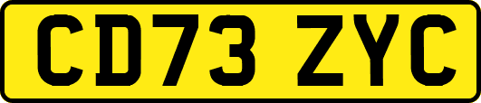 CD73ZYC