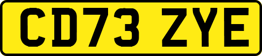 CD73ZYE