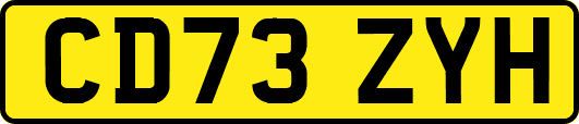 CD73ZYH
