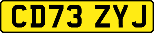 CD73ZYJ