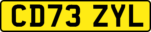CD73ZYL