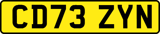 CD73ZYN
