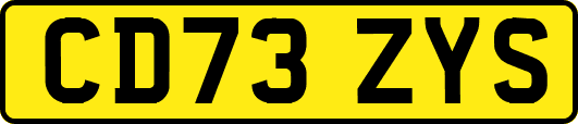 CD73ZYS