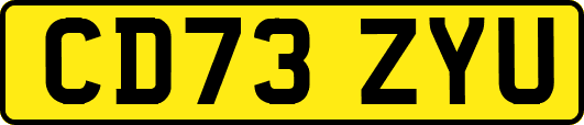 CD73ZYU