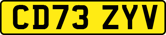 CD73ZYV
