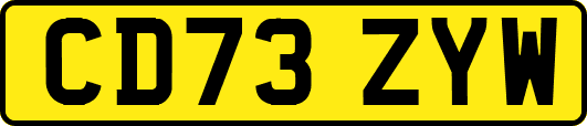 CD73ZYW