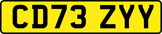 CD73ZYY